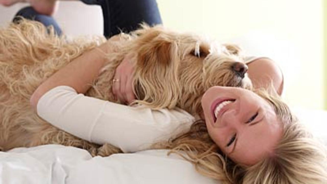 15 Pet Friendly Companies That Will Love Your Pal As Much As You Do