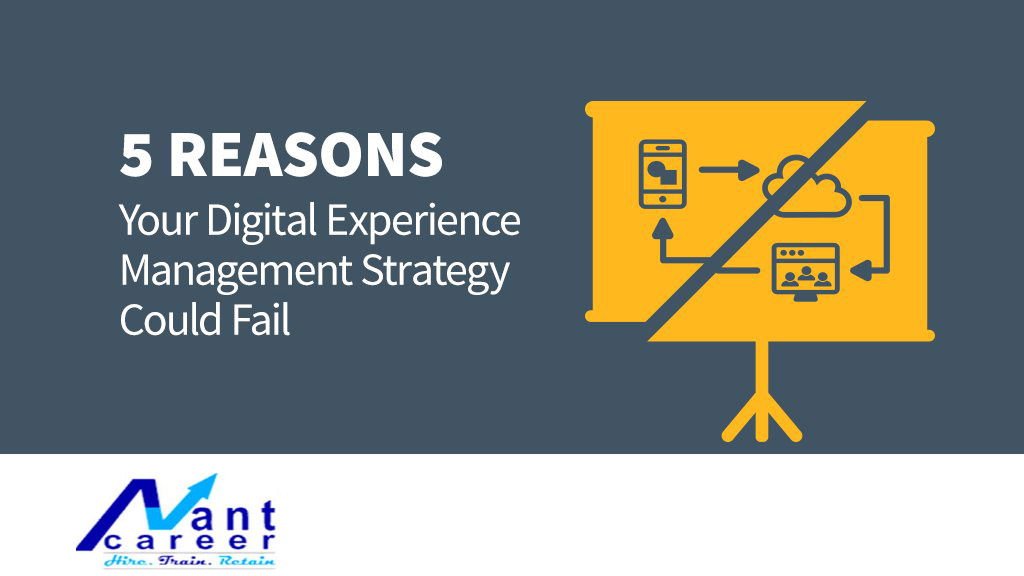 Check Reasons Your Digital Experience Management Strategy Could Fail